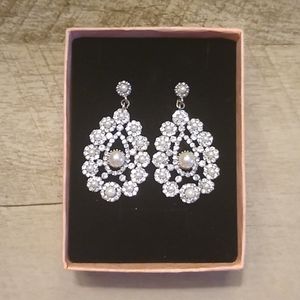 STUNNING earrings